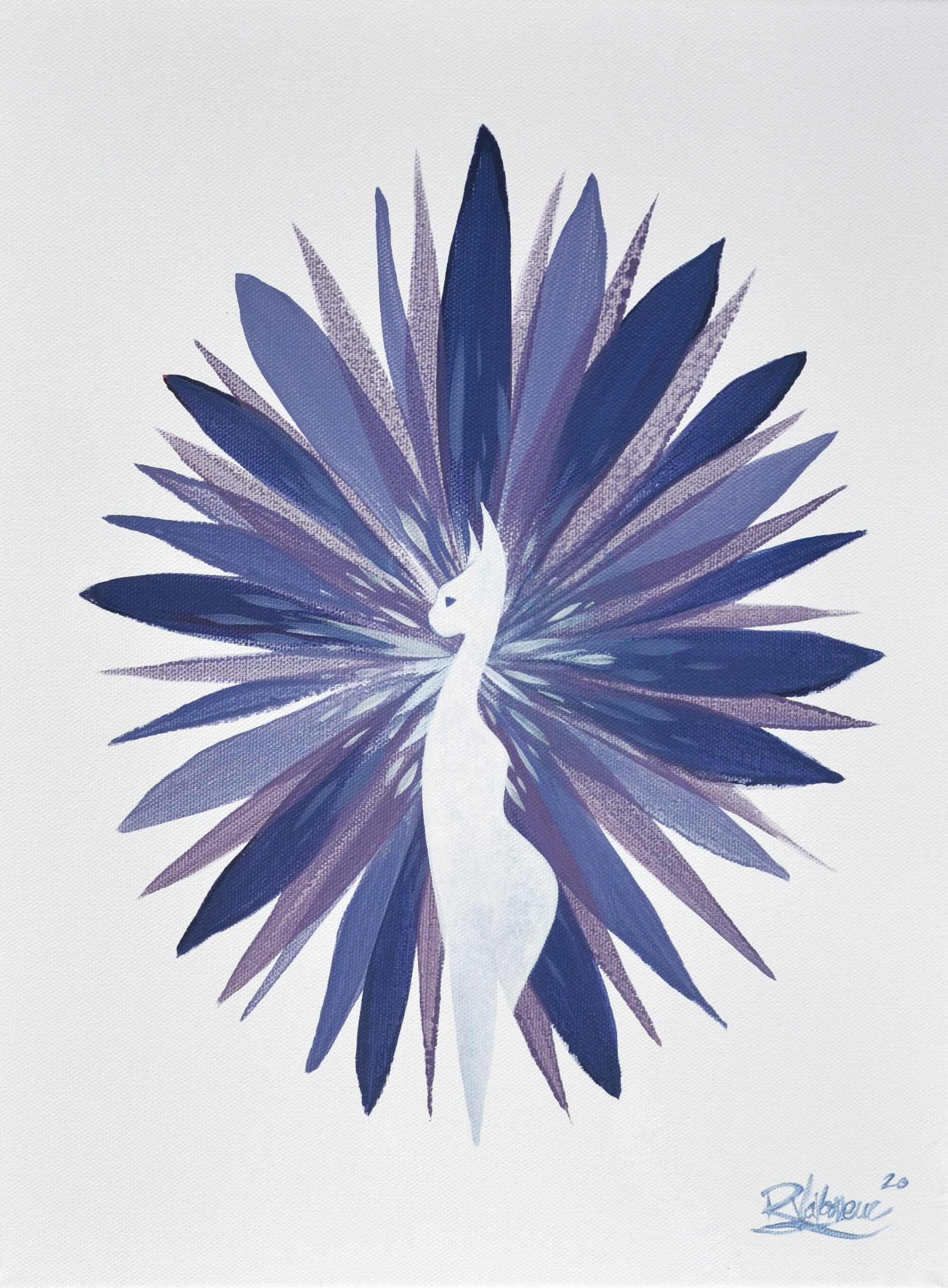 The Delicate Cat Flower