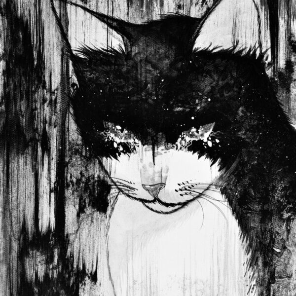 Cry cat - original cat painting by Raphaël Vavasseur