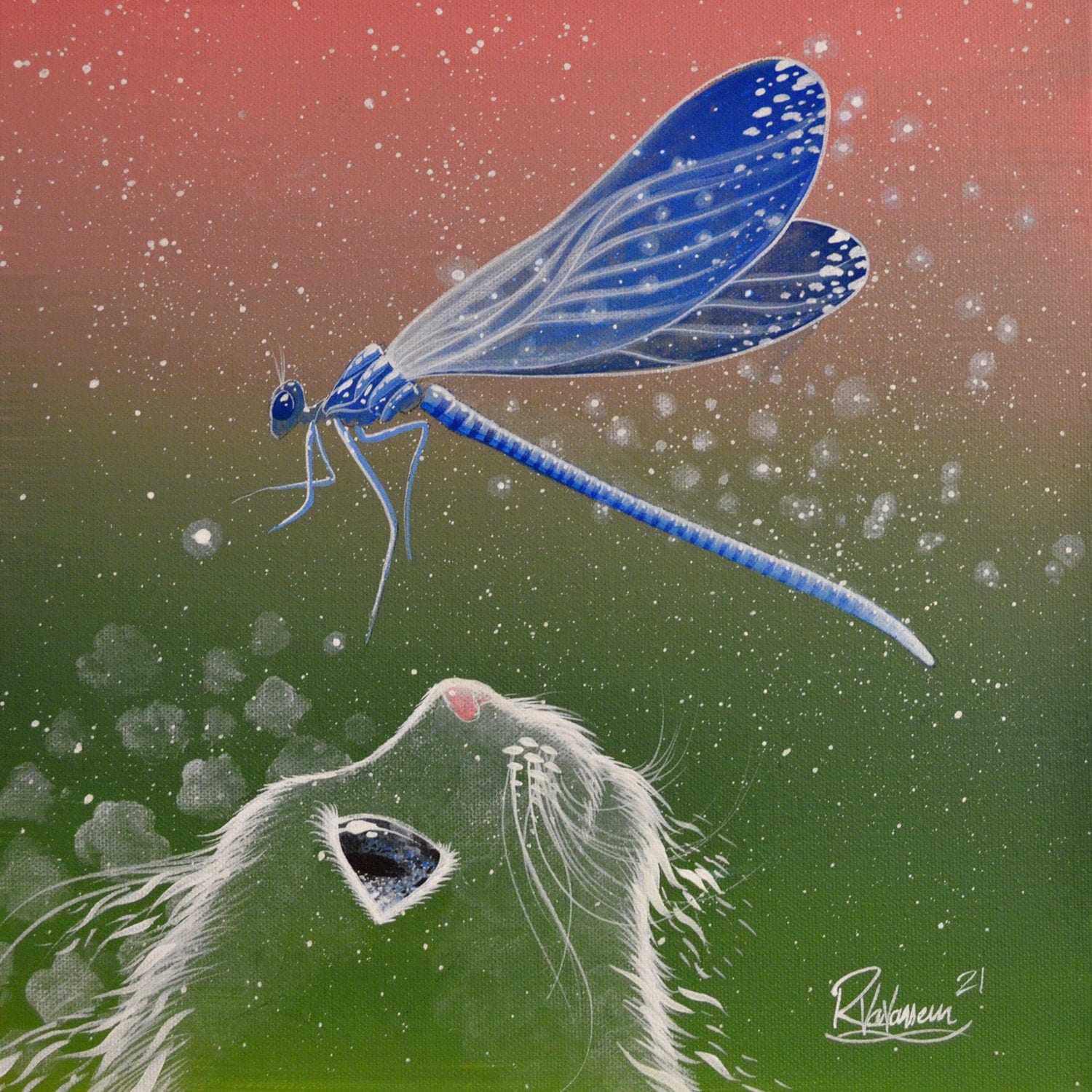 The Fairy Dragonfly of the Cat