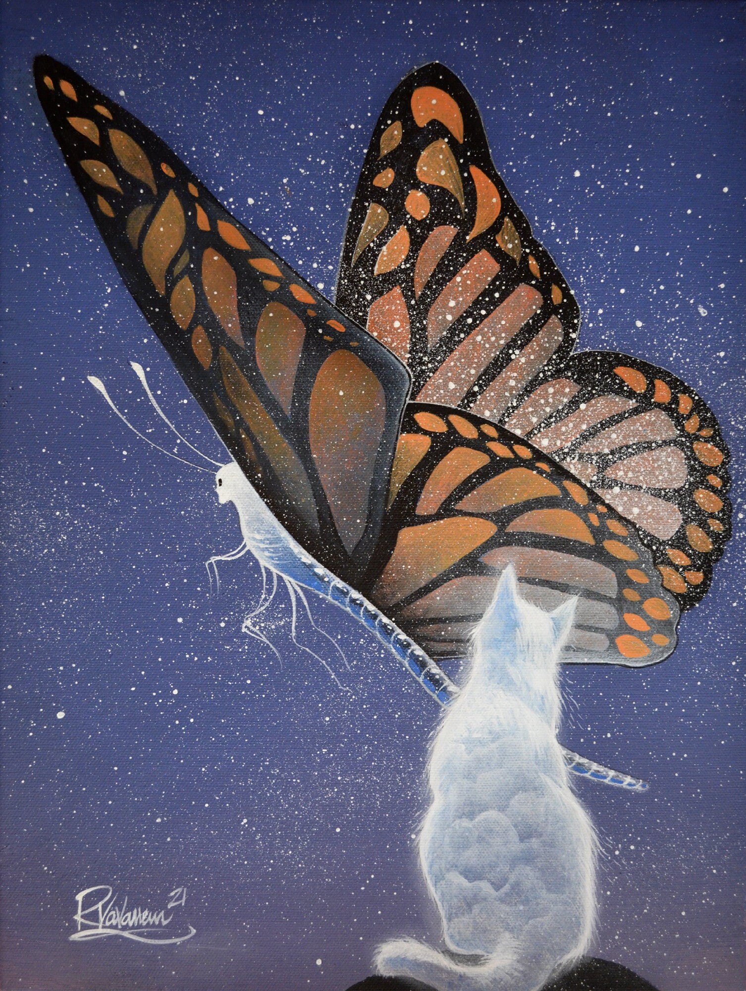 The Star Butterfly of Cat