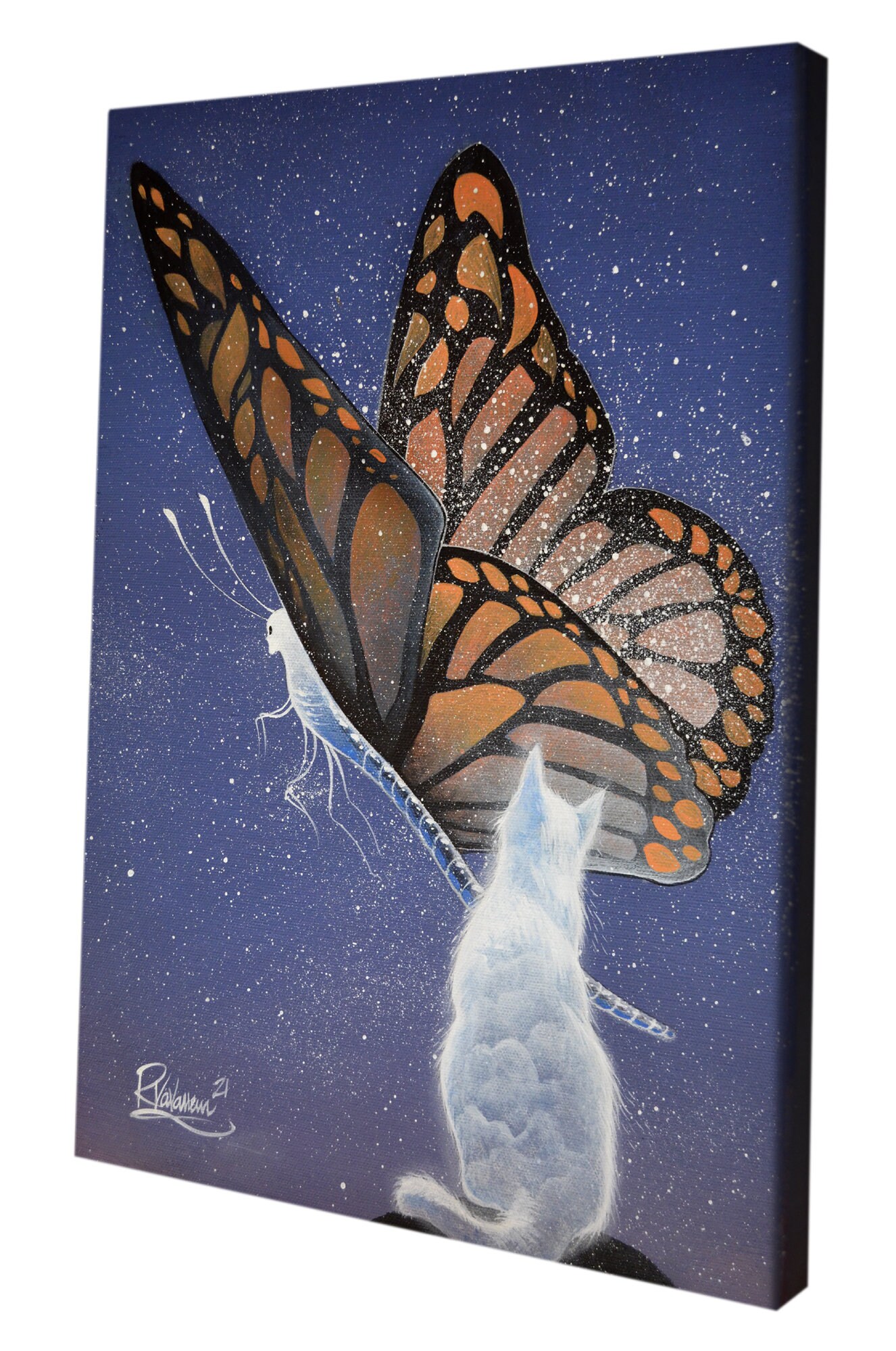 The star butterfly of cat - original feline artwork by Raphaël Vavasseur - close-up