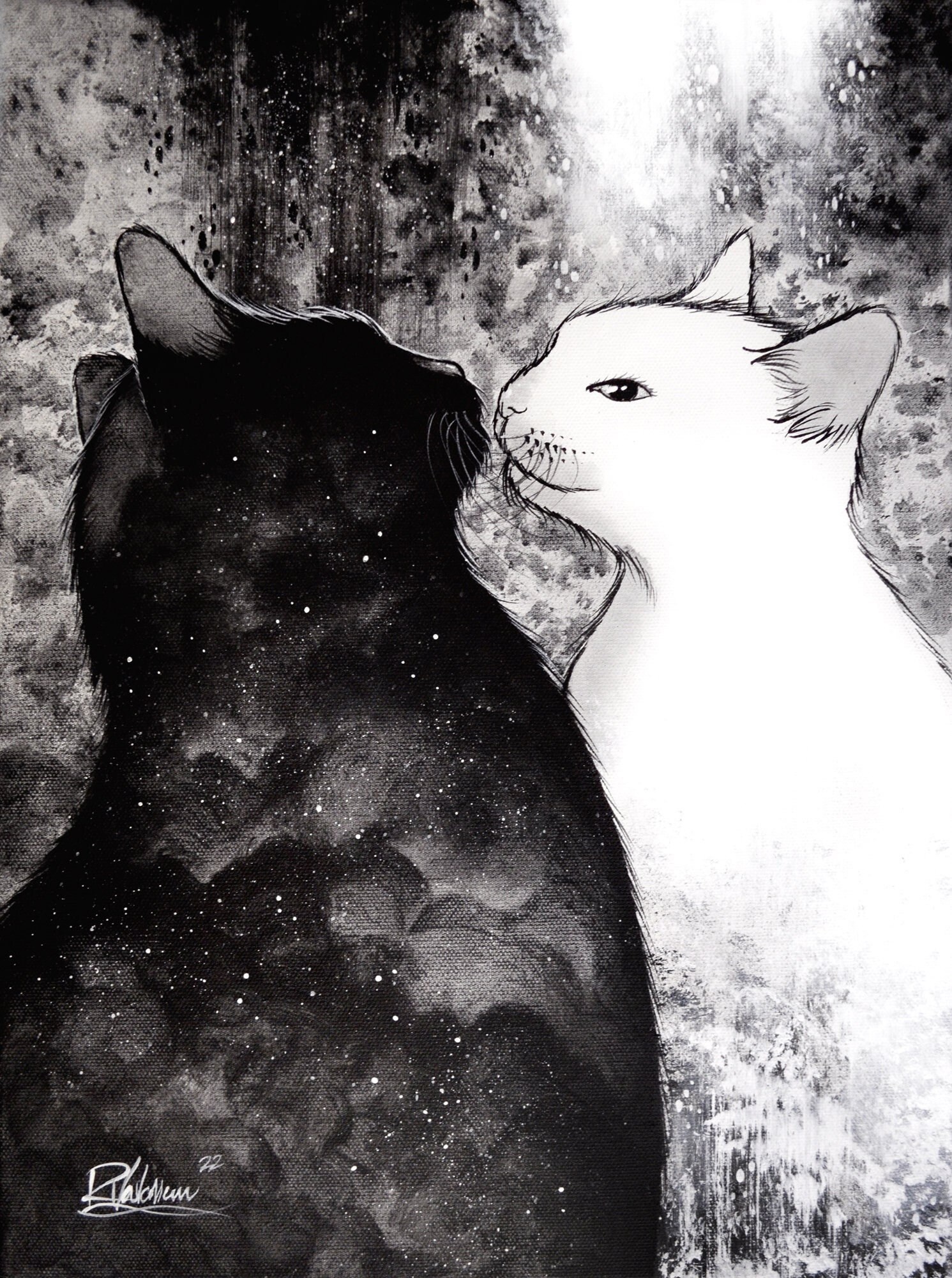 The Subtlety of the Cat