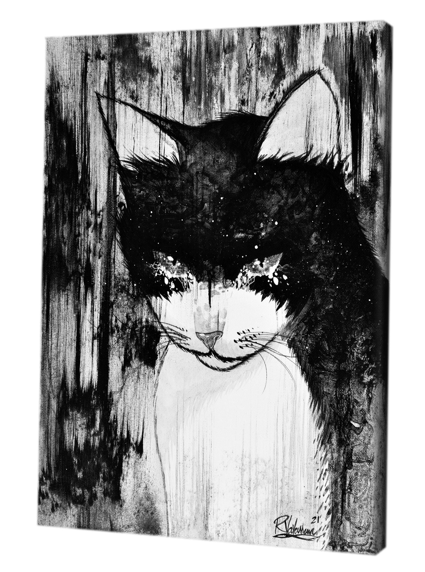 Cry cat - original feline artwork by Raphaël Vavasseur - close-up