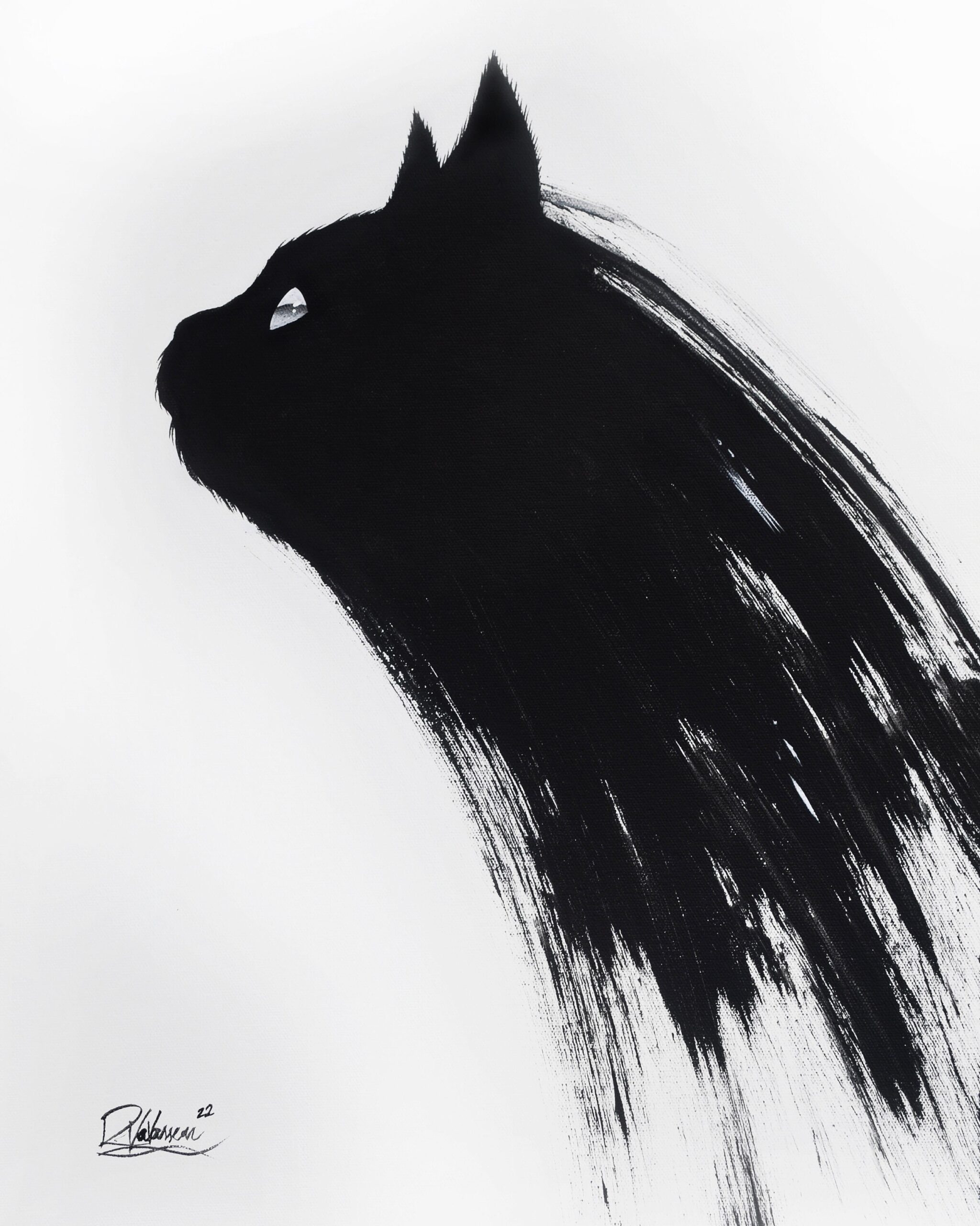 Black Cat