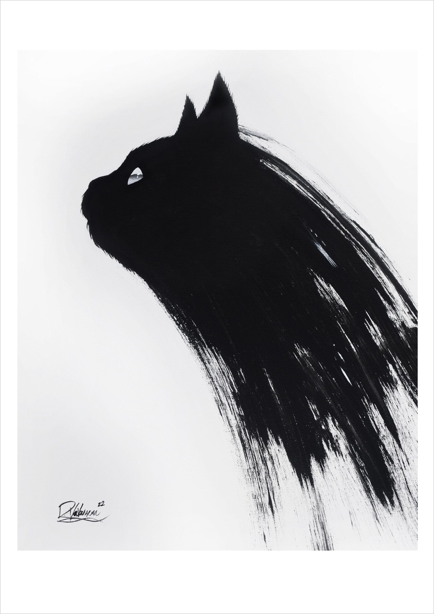Black cat