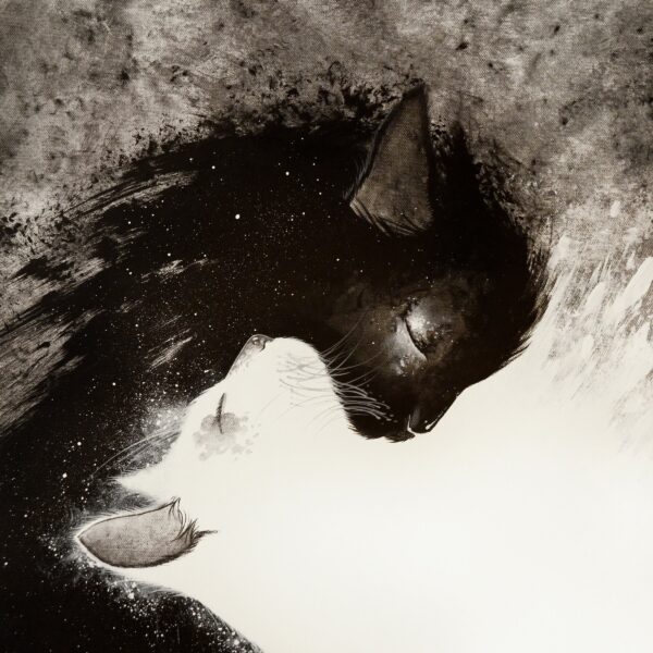 Alistar - original celestial cat artwork by Raphaël Vavasseur