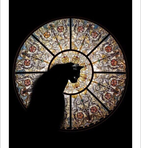 Stained glass black cat - enchanted digital feline print by Raphaël Vavasseur