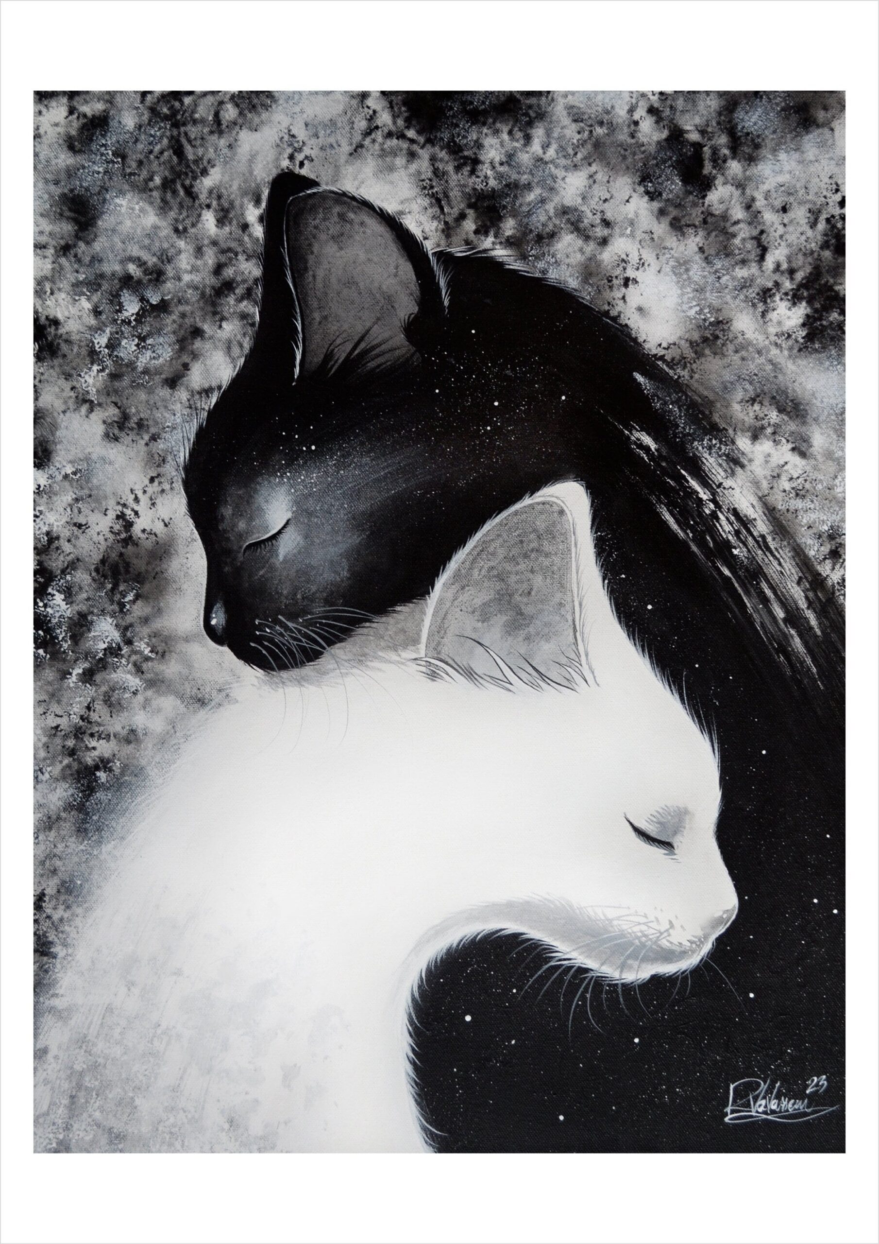 Yin & yang cats - monochrome feline art print by Raphaël Vavasseur