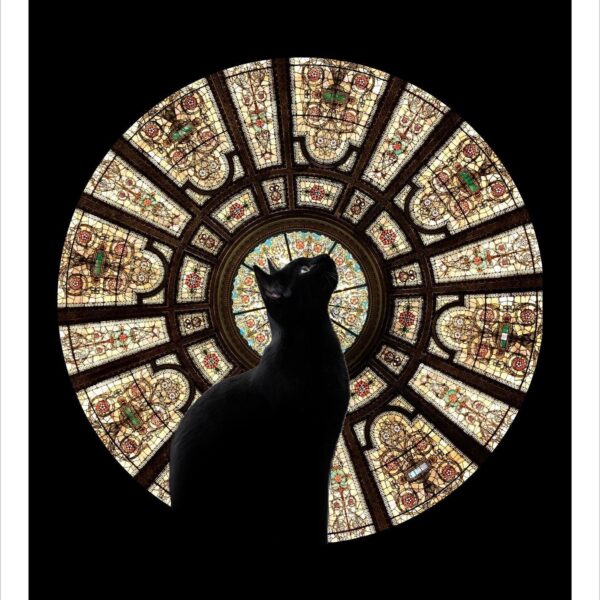 Rezar cat - mystical digital cat print by Raphaël Vavasseur