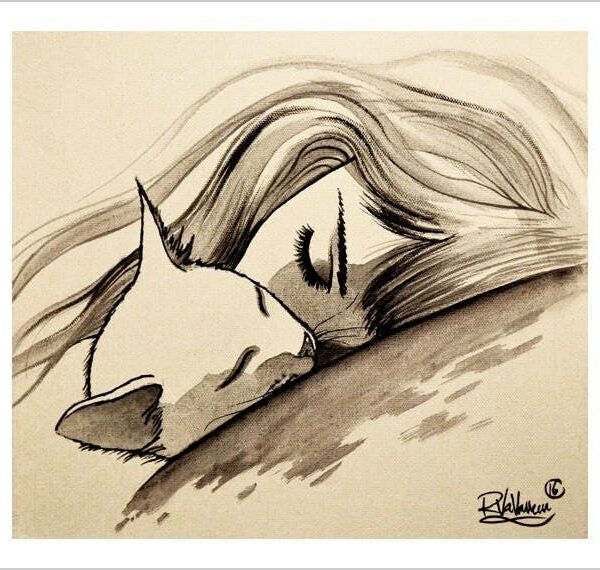 One sleep - black and white cat art print by Raphaël Vavasseur