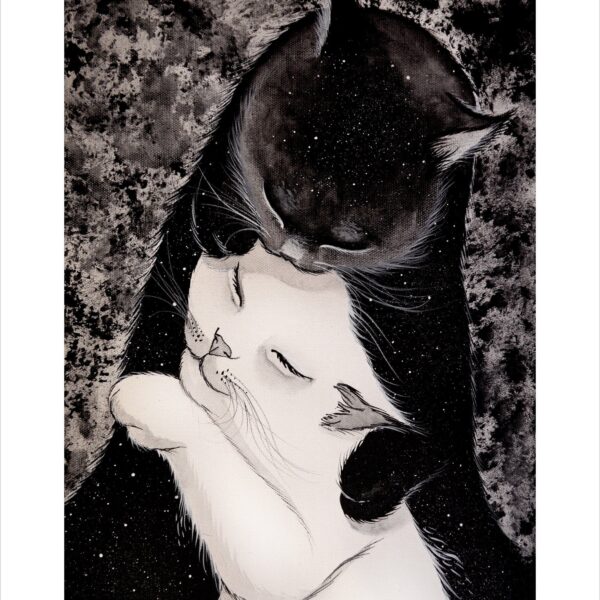 Sleep in the universe - monochrome feline art print by Raphaël Vavasseur
