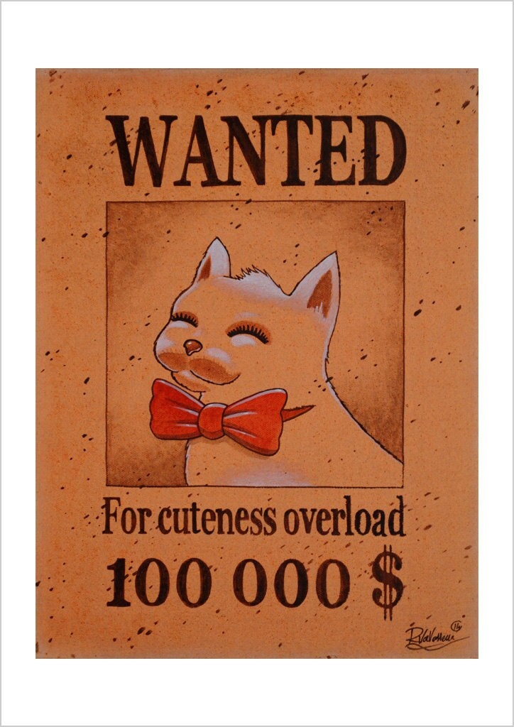 Most wanted cat
