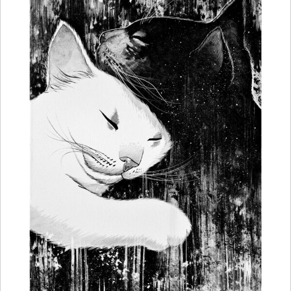 Morning kisses - black and white cat art print by Raphaël Vavasseur
