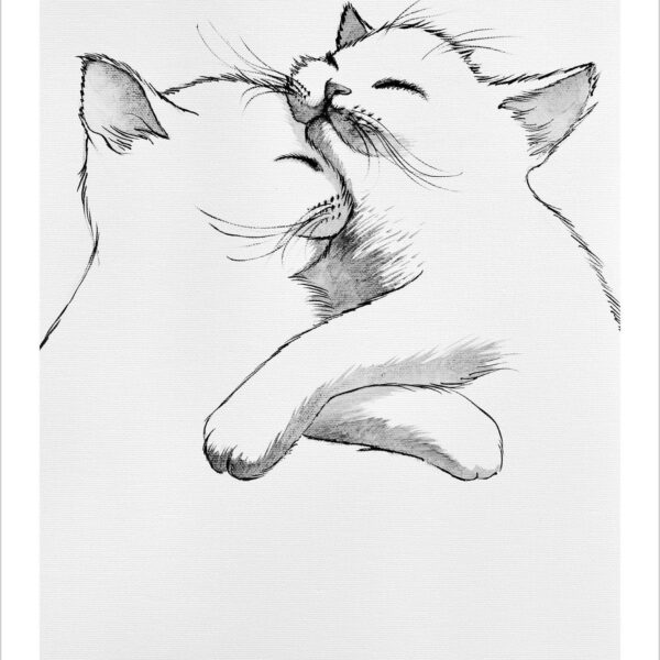 Purr cat love - black and white cat art print by Raphaël Vavasseur