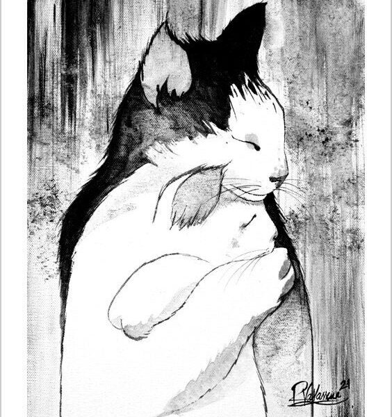 The cat's consolation - B&W mystical cat print by Raphaël Vavasseur