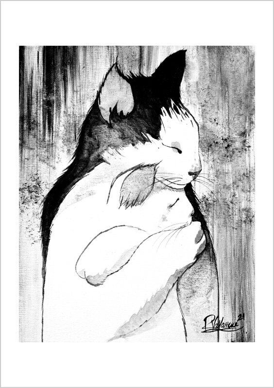 The cat's consolation