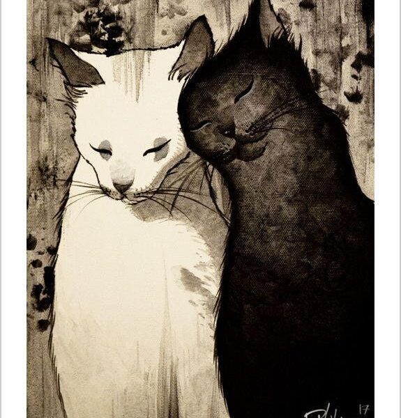 The other takes care of me - B&W mystical cat print by Raphaël Vavasseur