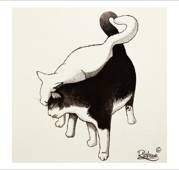 All is love - monochrome feline art print by Raphaël Vavasseur