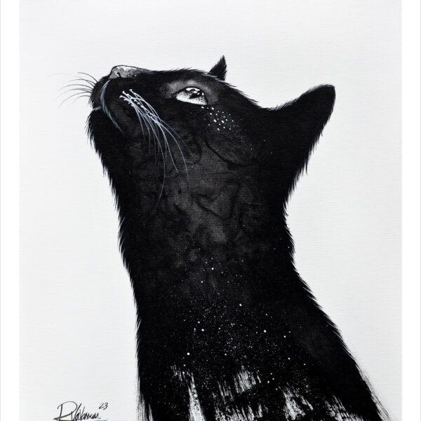 The blacks - B&W mystical cat print by Raphaël Vavasseur
