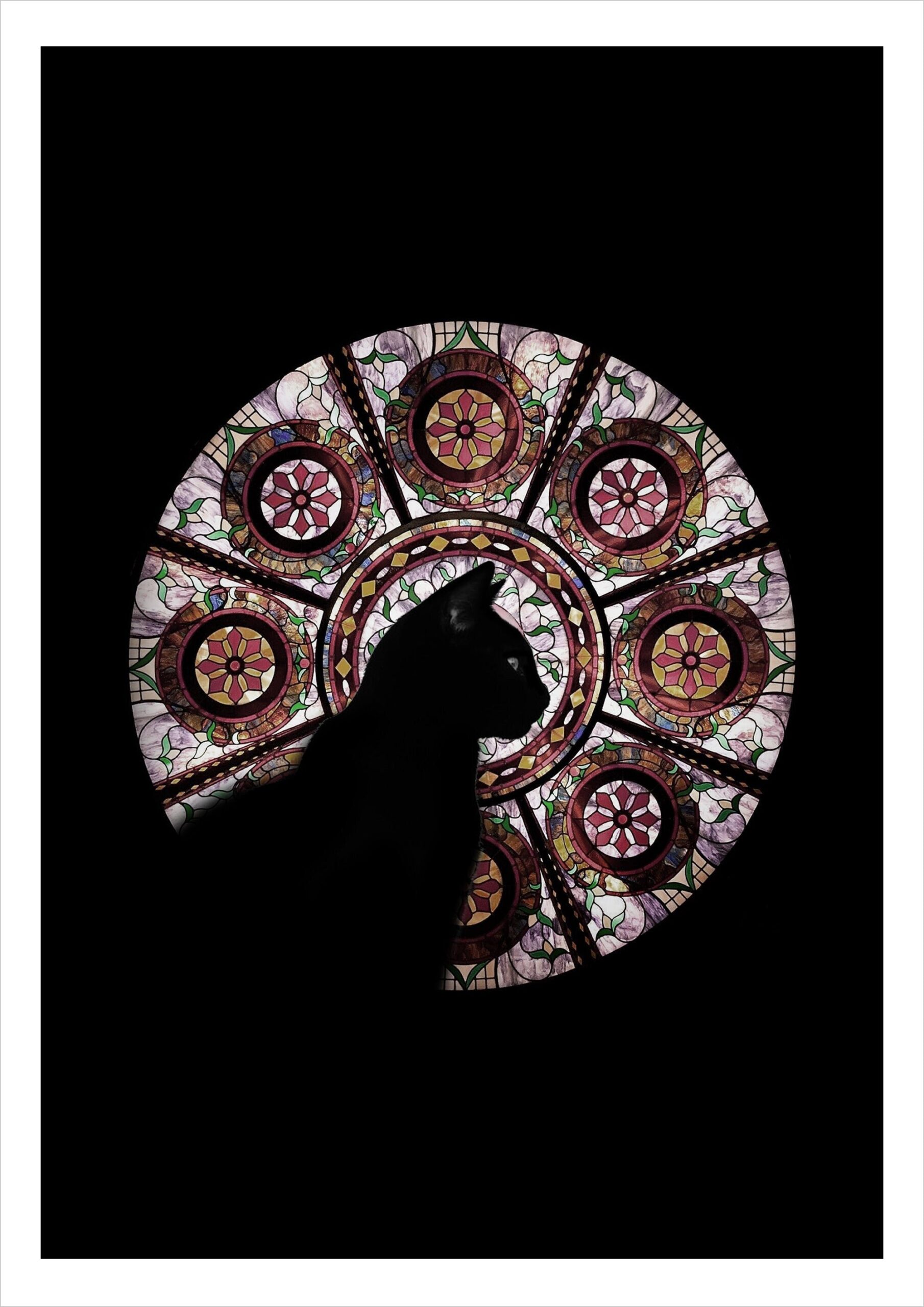 Digital Cat Art Prints — Surreal Feline Works by French Artist Raphaël Vavasseur