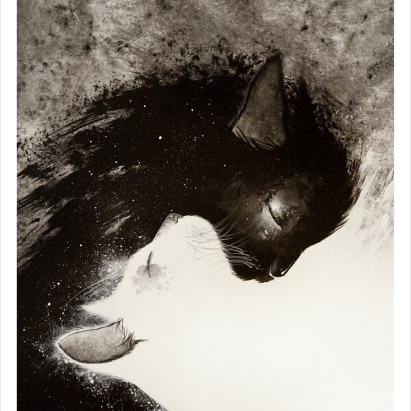 Alistar - B&W mystical cat print by Raphaël Vavasseur