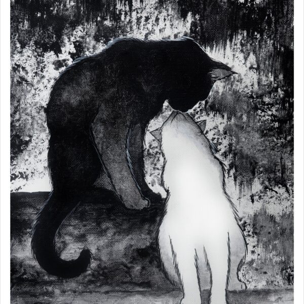 Morning kiss 2 - black and white cat art print by Raphaël Vavasseur