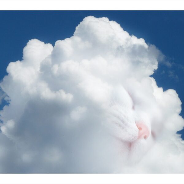 The cloud nap - mystical digital cat print by Raphaël Vavasseur