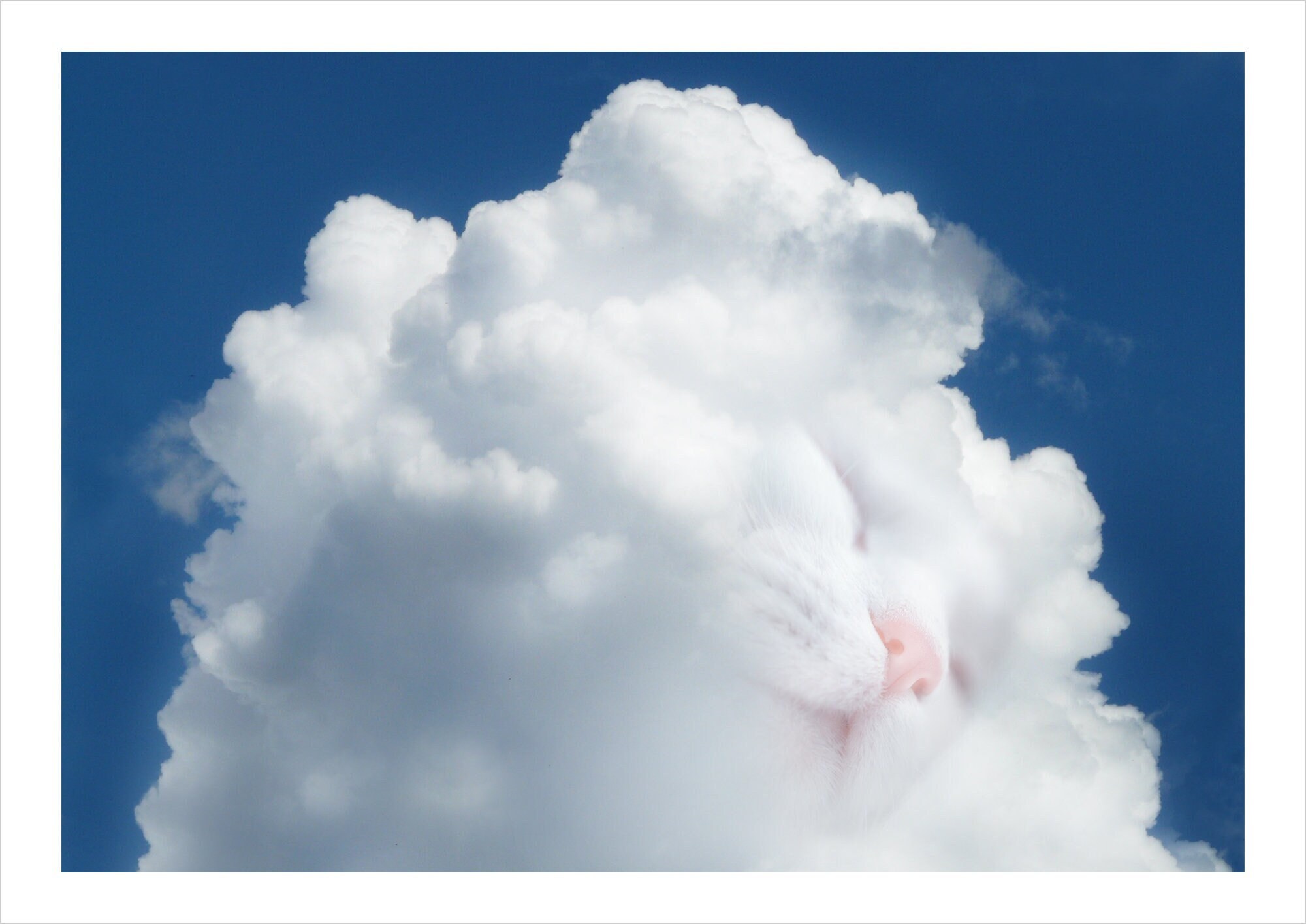 The cloud nap - mystical digital cat print by Raphaël Vavasseur