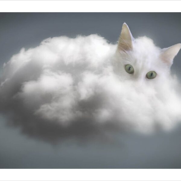 Cloud cat - digital cat art print by Raphaël Vavasseur