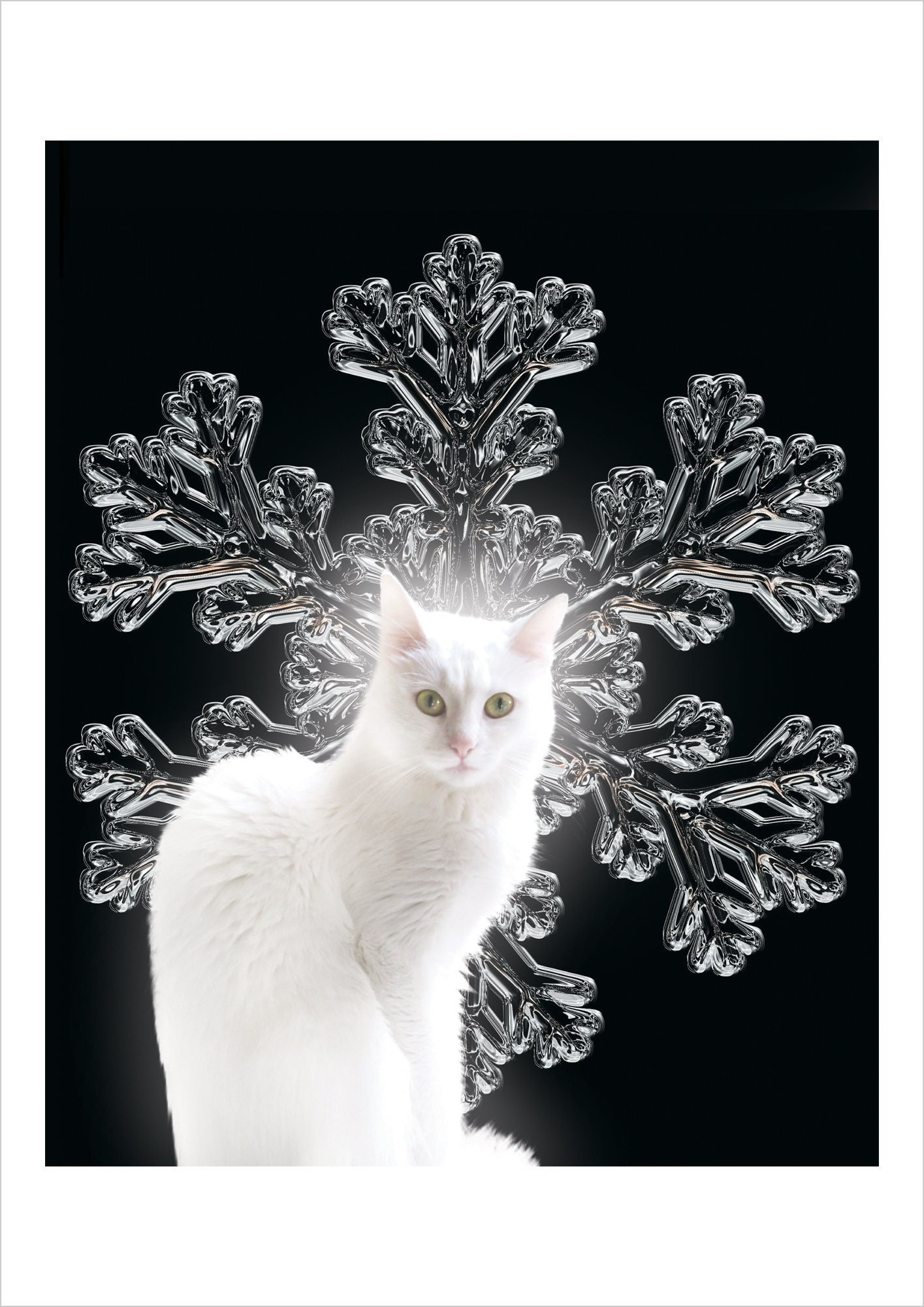 Snowflake cat - digital feline artwork print by Raphaël Vavasseur