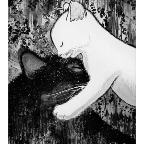 Little blessing - monochrome feline art print by Raphaël Vavasseur