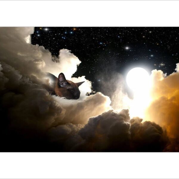 The perfect cat sleep - digital feline artwork print by Raphaël Vavasseur