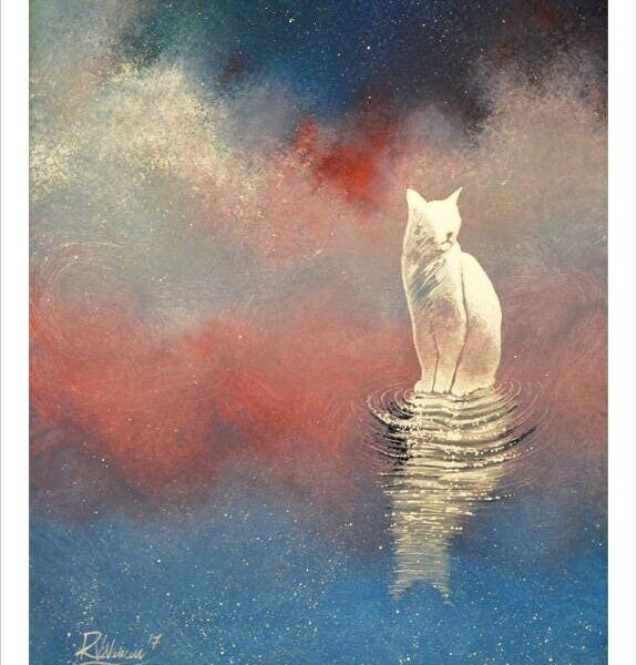 Blind cat - delicate feline art print by Raphaël Vavasseur