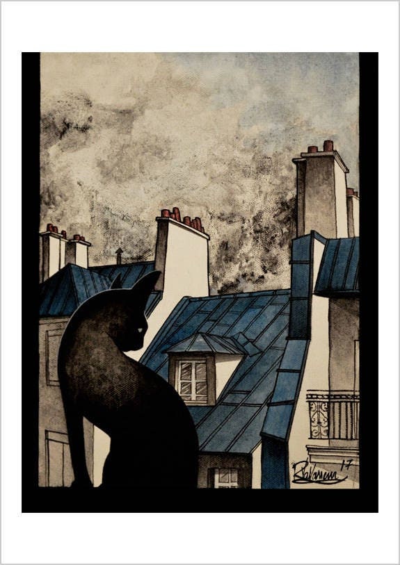 Paris black cat - Parisian cat art print by Raphaël Vavasseur