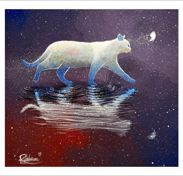 Follow the butterfly - starry feline art print by Raphaël Vavasseur