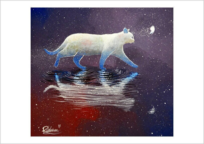 Follow the butterfly - starry feline art print by Raphaël Vavasseur