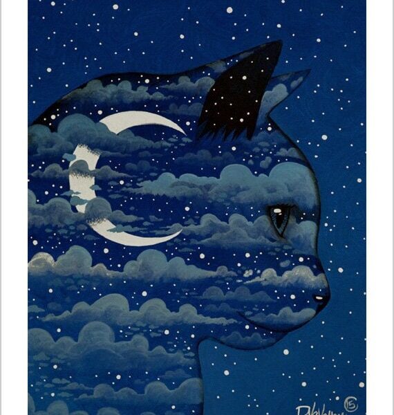 Luna cat - moonlit cat art print by Raphaël Vavasseur
