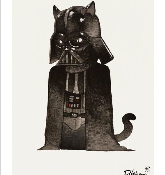 Darth vader cat - black and white cat art print by Raphaël Vavasseur