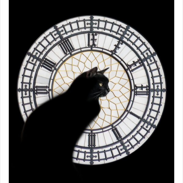 Cat time - digital cat art print by Raphaël Vavasseur