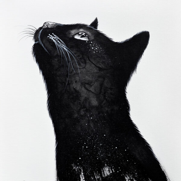 Blacks - original celestial cat artwork by Raphaël Vavasseur