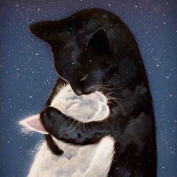 Felinoo - feline canvas art print by Raphaël Vavasseur