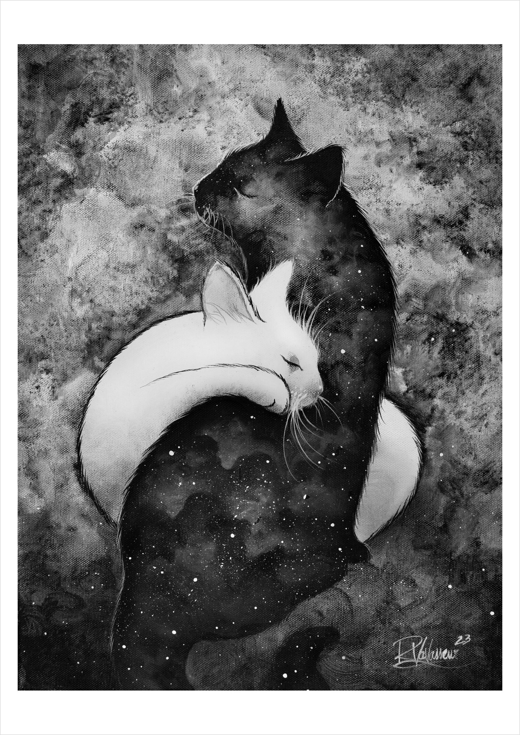 Black & White Cat Art Prints — Monochrome Feline Works by French Artist Raphaël Vavasseur