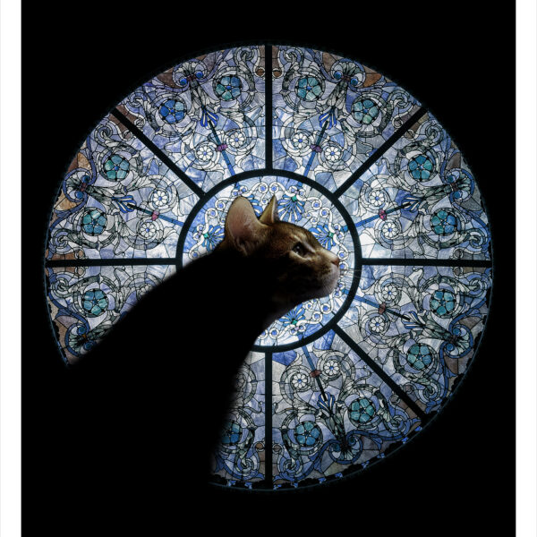 Cathedral cat by Raphaël - digital feline artwork print by Raphaël Vavasseur
